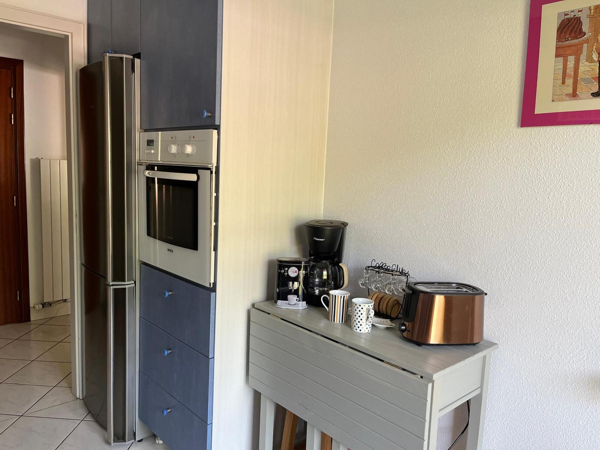 Apartament L'Aiglon Ribeauvillé Zewnętrze zdjęcie