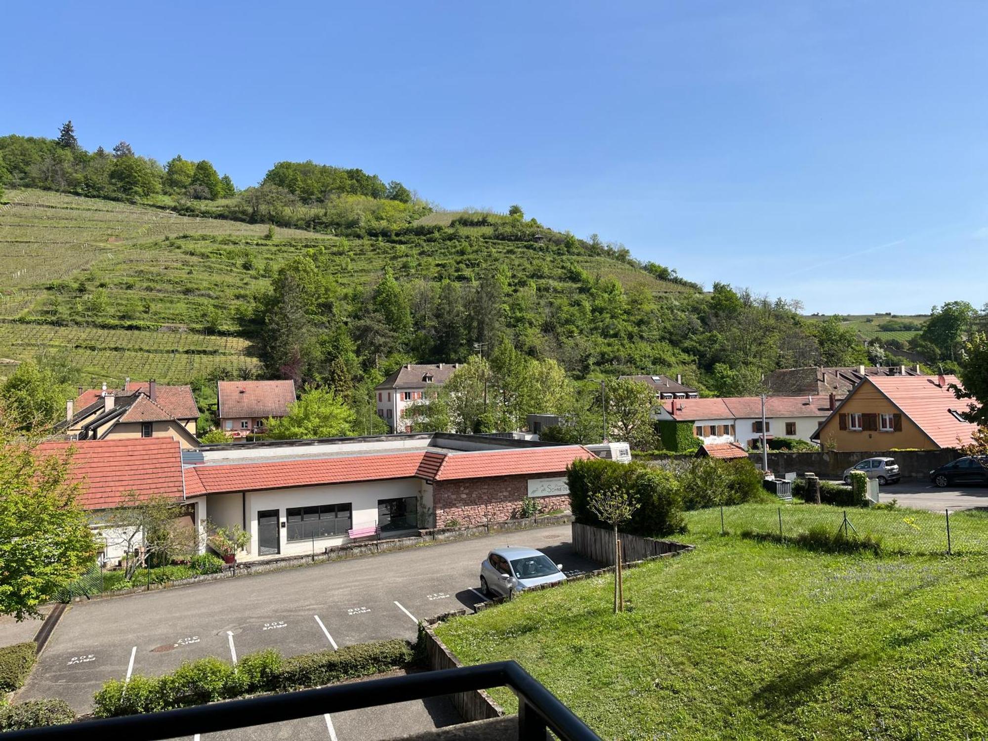 Apartament L'Aiglon Ribeauvillé Zewnętrze zdjęcie